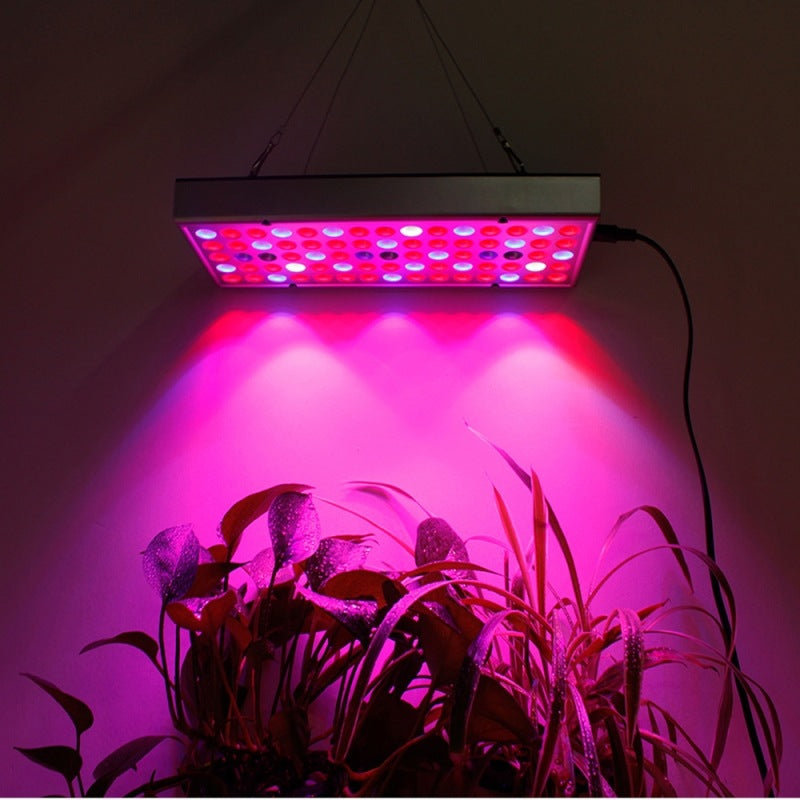 LED Plant Light For Growing Seedlings In Greenhouses
