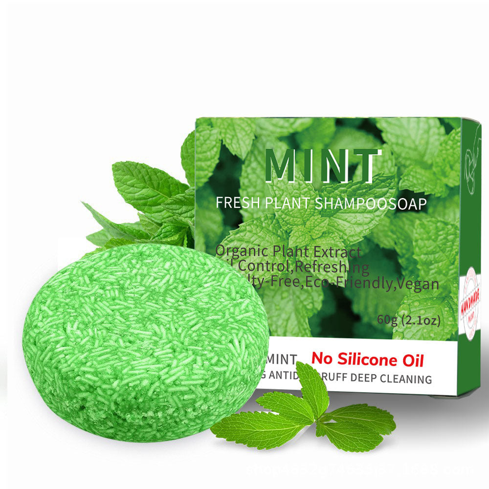 Variety of Vegan Oil Control Organic Scalp Shampoo Bar