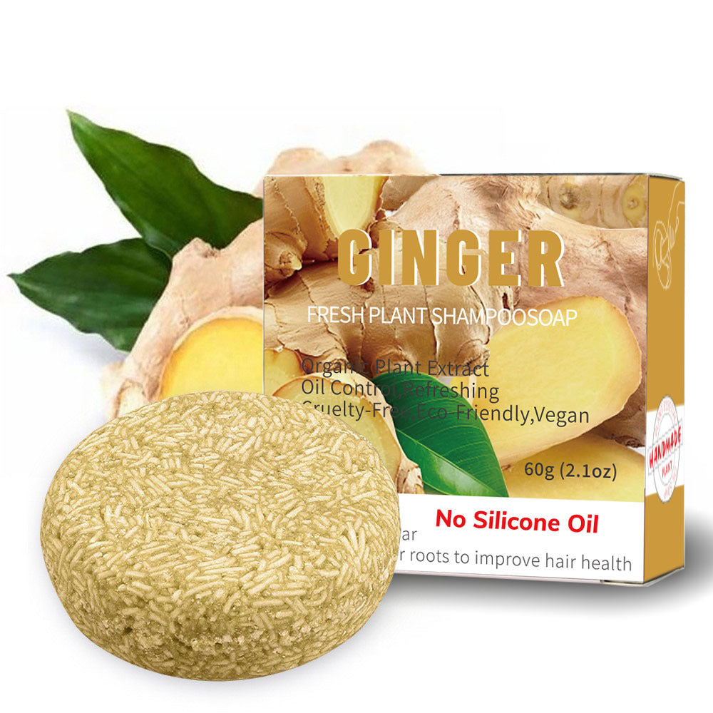 Variety of Vegan Oil Control Organic Scalp Shampoo Bar