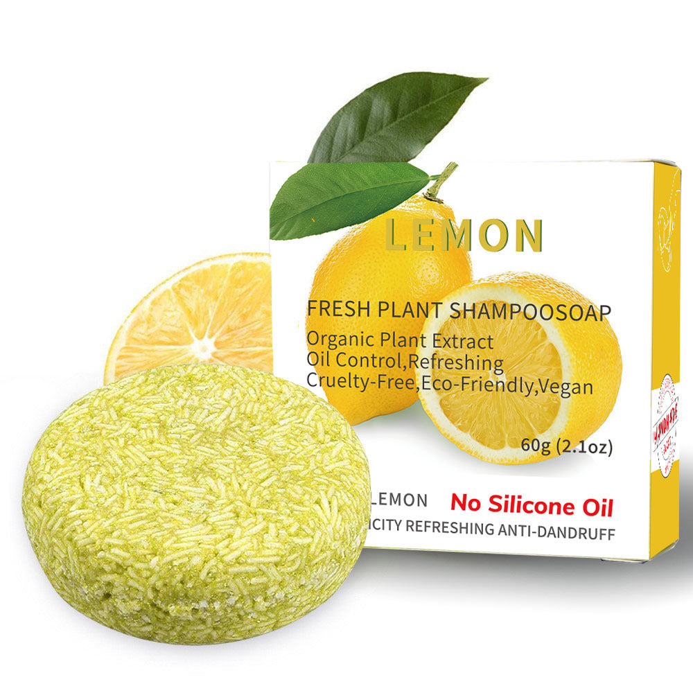 Variety of Vegan Oil Control Organic Scalp Shampoo Bar