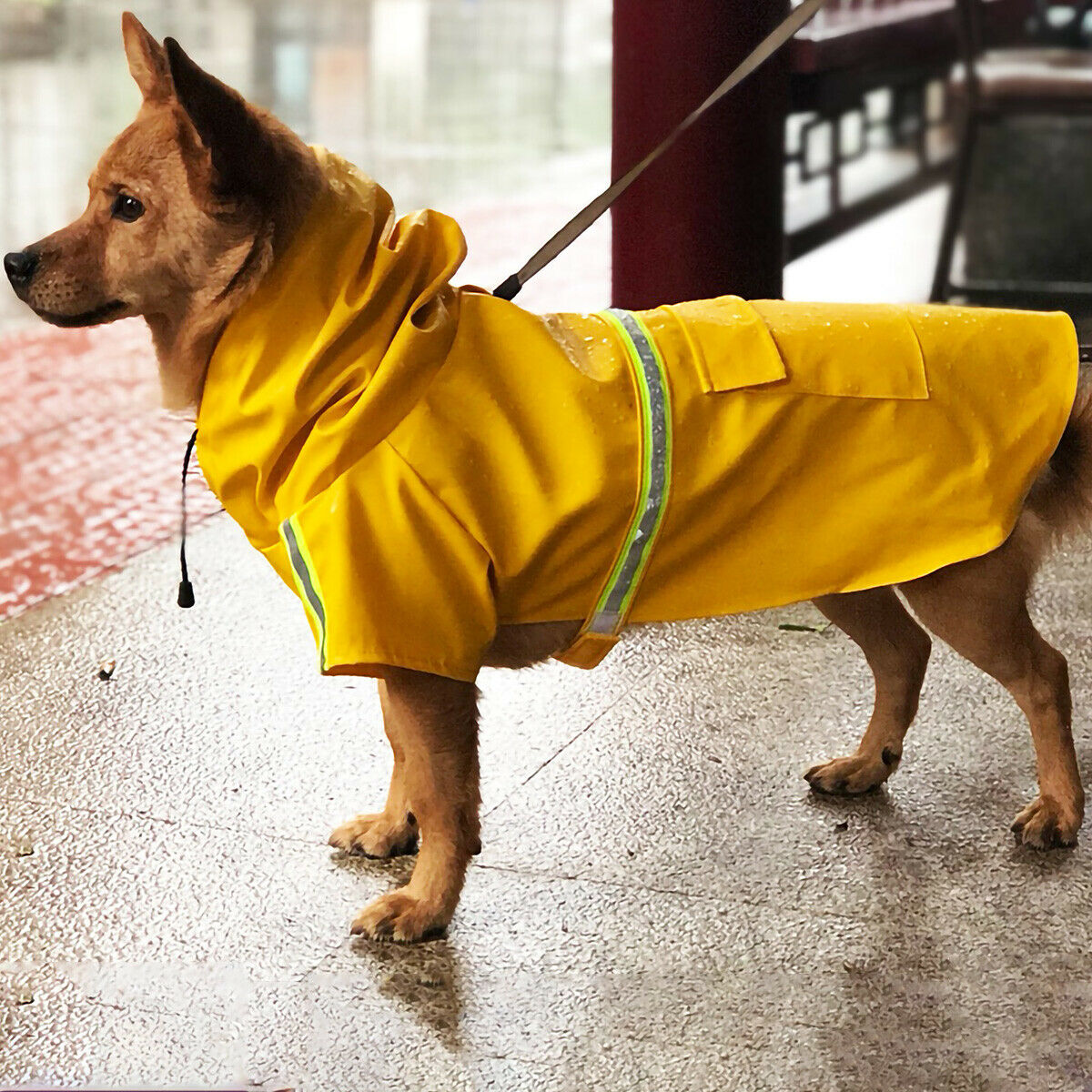 Pet Dog Puppy Raincoat Hoodie Jacket Hooded Coat Clothes Waterproof Raincoat