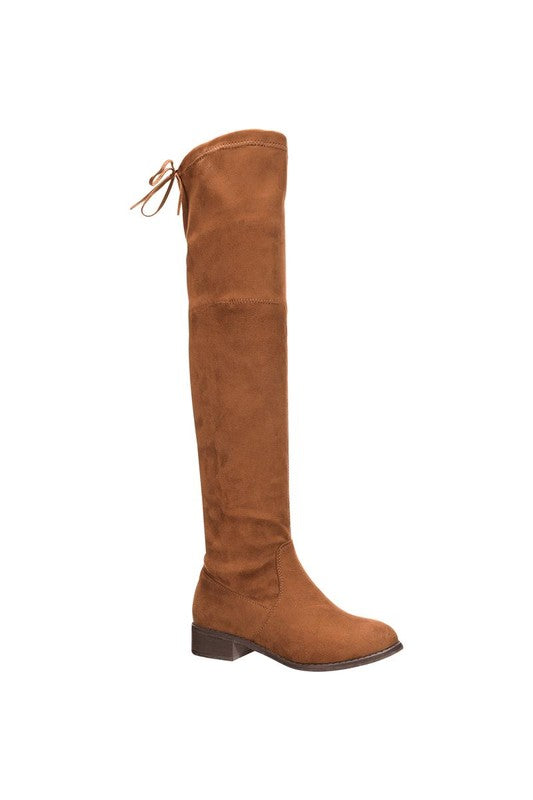 Women's Over the Knee Low Heel Suede Boot