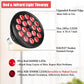 Led Infrared Beauty Physiotherapy Lamp Dual Chip
