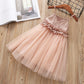 Cute Lace Dress for Baby Girls Pink Sweet
