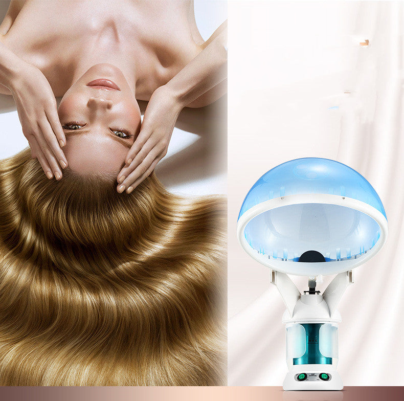 Hair Scalp Face Ozone Steamer