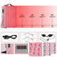 Small LED Infrared Beauty Physiotherapy Lamp