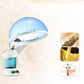 Hair Scalp Face Ozone Steamer