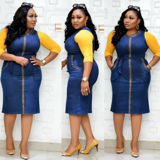 Women's Plus Denim Sleeveless Zipper Closing Dress