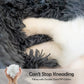 Pet Bed For Cat or Dog Anti-Slip & Water-Resistant Bottom Washable For Small Medium Pets
