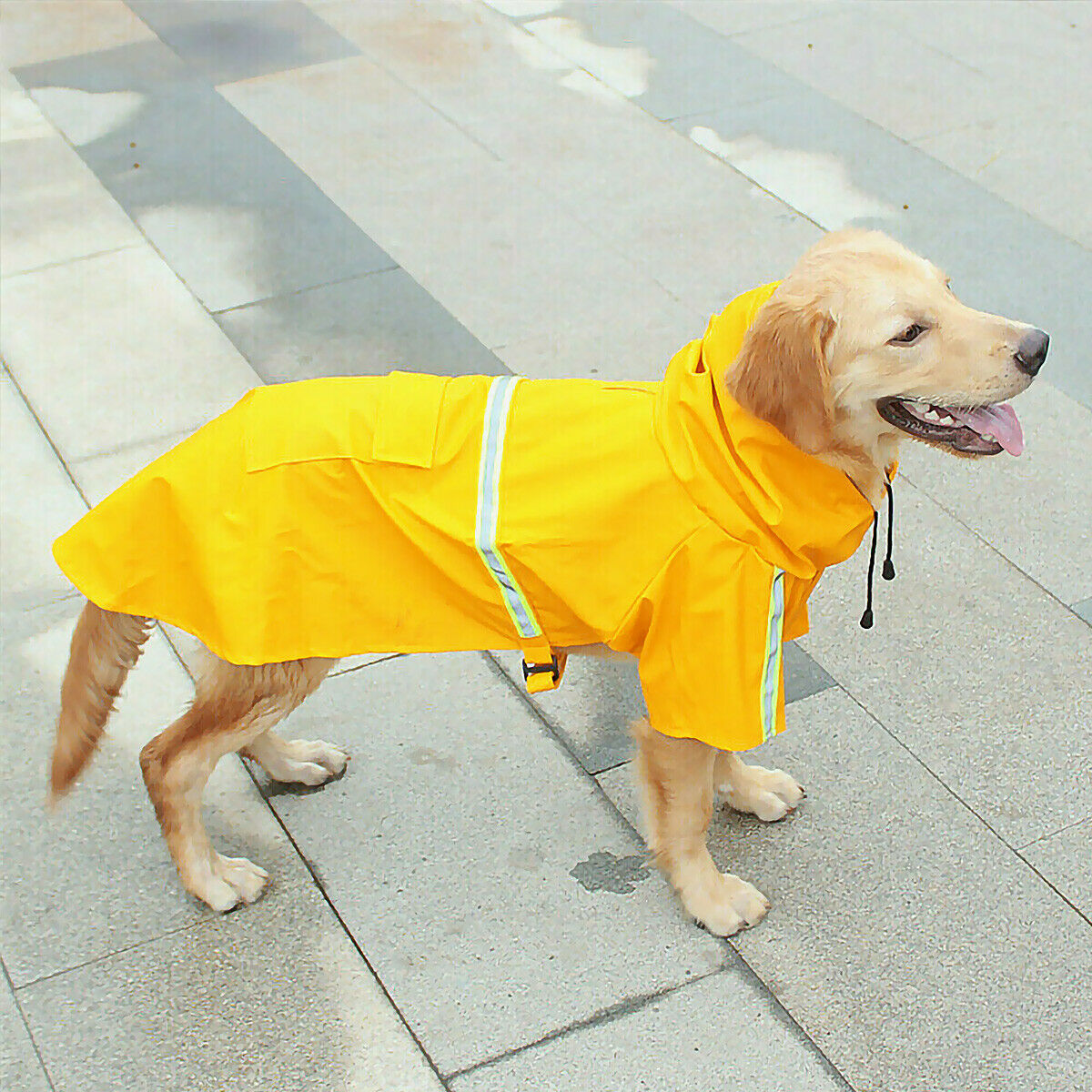 Pet Dog Puppy Raincoat Hoodie Jacket Hooded Coat Clothes Waterproof Raincoat