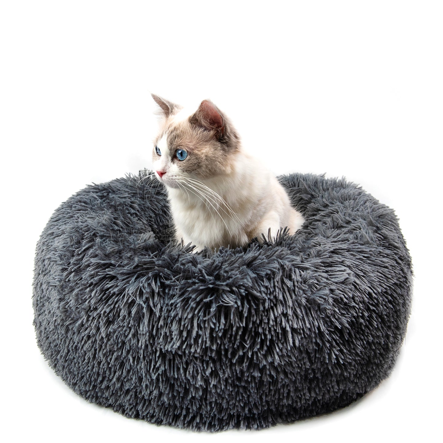 Pet Bed For Cat or Dog Anti-Slip & Water-Resistant Bottom Washable For Small Medium Pets