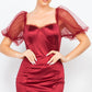 Women's Lace Sleeves Back Zipped Mini Dress