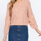 Women's Buttoned Stretch Denim Jean Mini Skirt