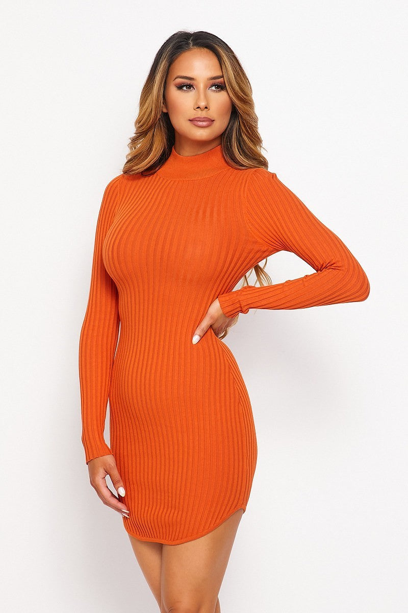 Women's Knit Mock Neck Round Dress