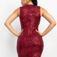 Women's Sequin Mesh Bodycon Dress