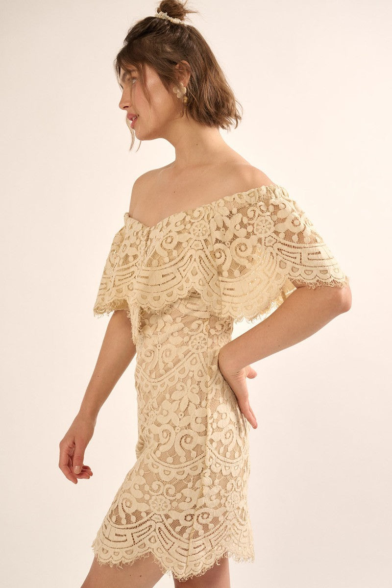 Women's Lace, Woven Mini Dress