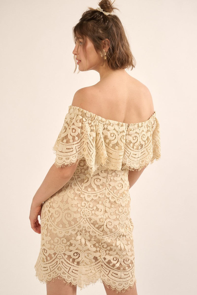 Women's Lace, Woven Mini Dress