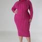 Women's Plus Turtle Neck Stretch Dress