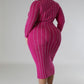 Women's Plus Turtle Neck Stretch Dress
